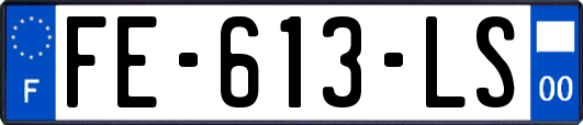 FE-613-LS