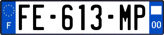 FE-613-MP