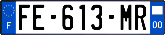 FE-613-MR