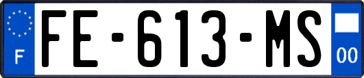 FE-613-MS
