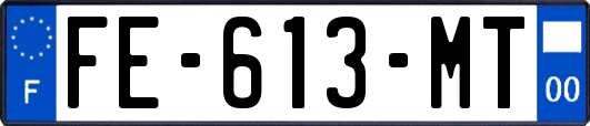 FE-613-MT