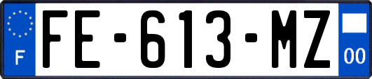 FE-613-MZ
