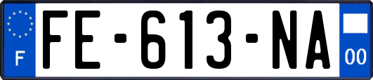 FE-613-NA