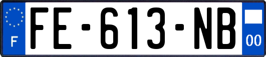 FE-613-NB