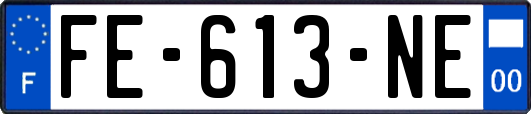 FE-613-NE