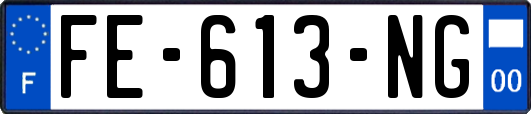 FE-613-NG