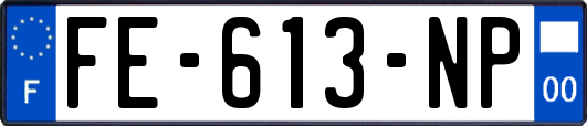 FE-613-NP