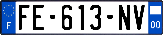 FE-613-NV