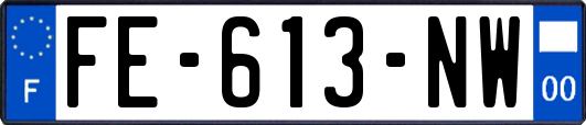 FE-613-NW
