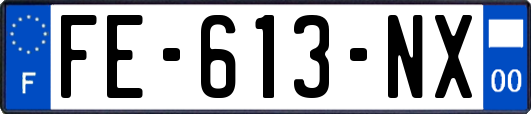 FE-613-NX