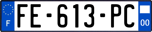 FE-613-PC