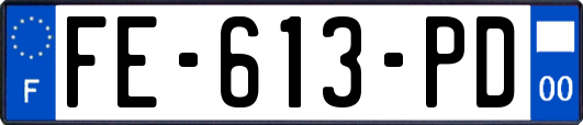 FE-613-PD