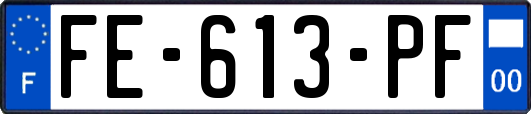 FE-613-PF