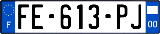 FE-613-PJ