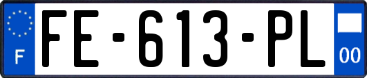 FE-613-PL
