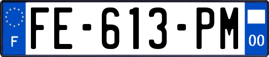 FE-613-PM