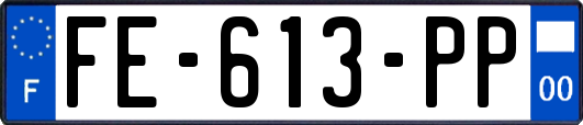 FE-613-PP
