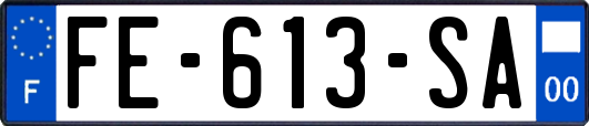 FE-613-SA