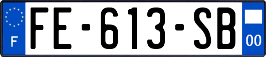 FE-613-SB