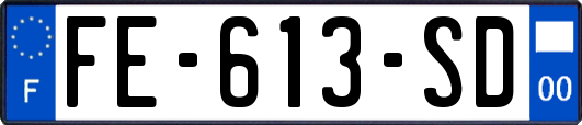 FE-613-SD