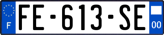 FE-613-SE