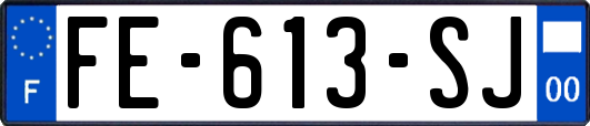 FE-613-SJ