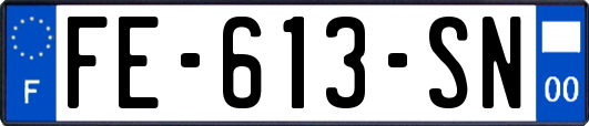 FE-613-SN