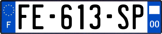 FE-613-SP