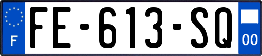 FE-613-SQ