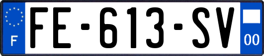 FE-613-SV