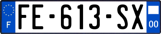 FE-613-SX