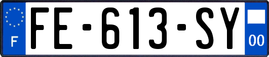 FE-613-SY