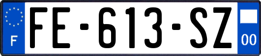 FE-613-SZ