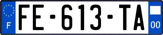 FE-613-TA