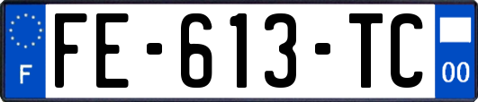 FE-613-TC