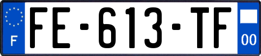 FE-613-TF