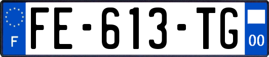 FE-613-TG