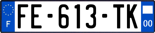 FE-613-TK