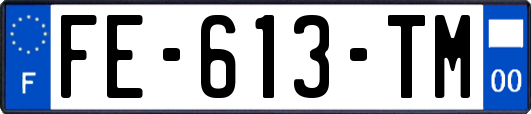 FE-613-TM