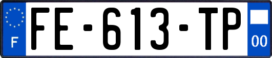 FE-613-TP