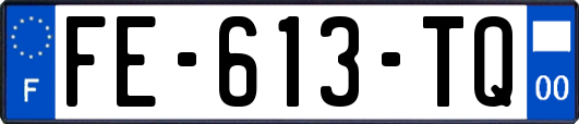FE-613-TQ