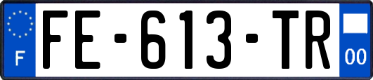 FE-613-TR