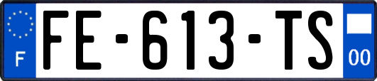 FE-613-TS