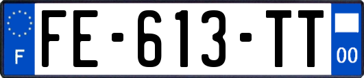 FE-613-TT