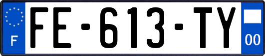 FE-613-TY