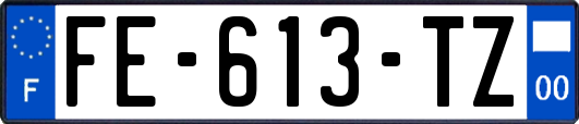 FE-613-TZ