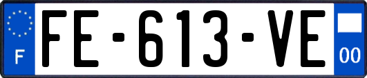 FE-613-VE