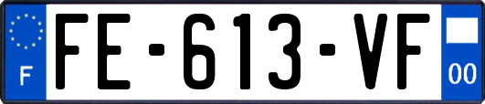FE-613-VF