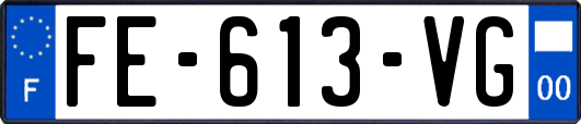 FE-613-VG