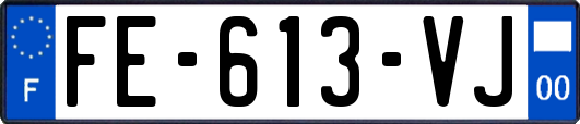 FE-613-VJ